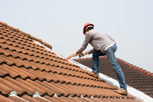 Best Roofing for New Construction  in Hyde Rk, PA