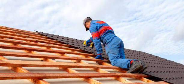 Best Rubber Roofing (EPDM, TPO)  in Hyde Rk, PA