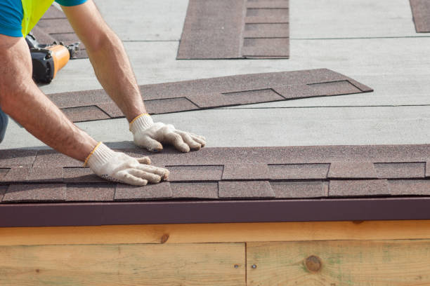 Best Chimney Flashing Repair  in Hyde Rk, PA